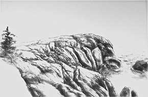 "Rocks, Tree, charcoal, 34" x 50", 2007